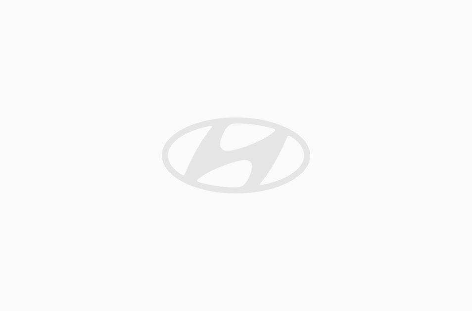 Seilwinde Universal 12V mit 30m Kunststoffseil